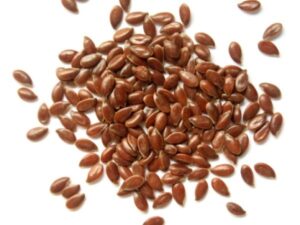 Flax-seeds