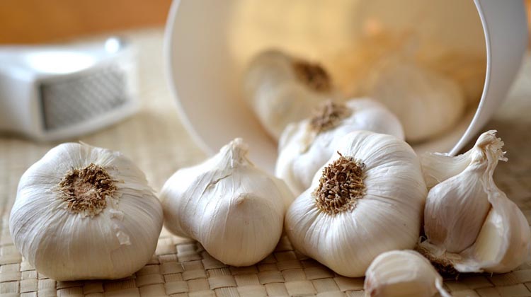 garlic