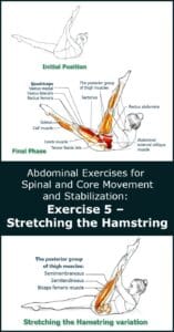 Stretching the Hamstring - Abdominal Exercises for Core Stabilization ...