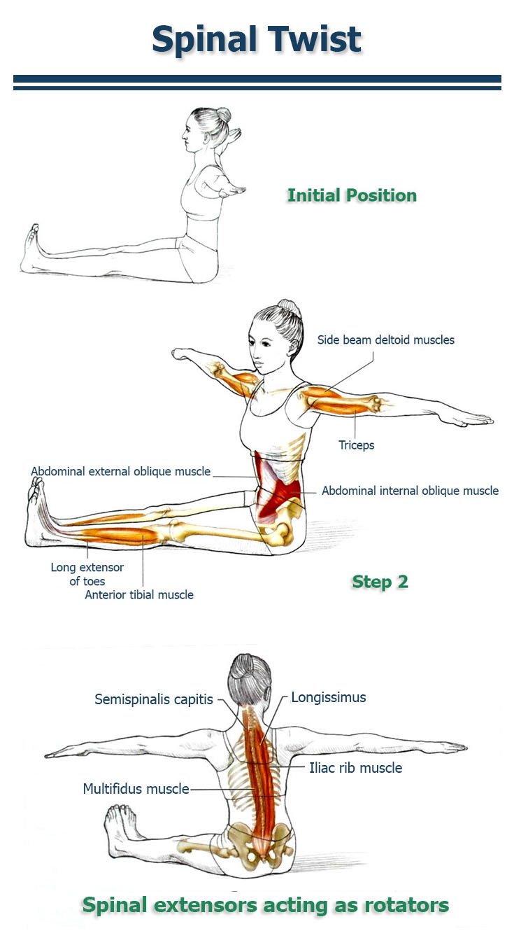 This Simple Exercise Will Cut in Half Your Back & Spine ...