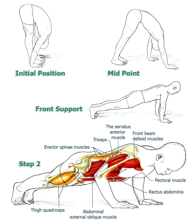 Forward Fold Push-Up – Why This is the Best Push-Up Variation for Your ...