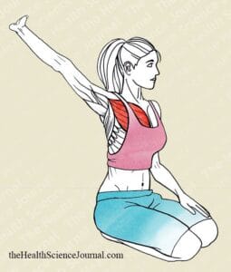 Starting Stretching – 53 Full Body Stretches for Beginners - The Health ...