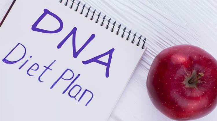 5 Things You’ll Learn When You Start The DNA Diet Plan - The Health ...